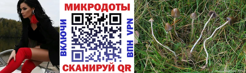 hydra рабочий сайт  Певек  Псилоцибиновые грибы GOLDEN TEACHER  купить наркоту 